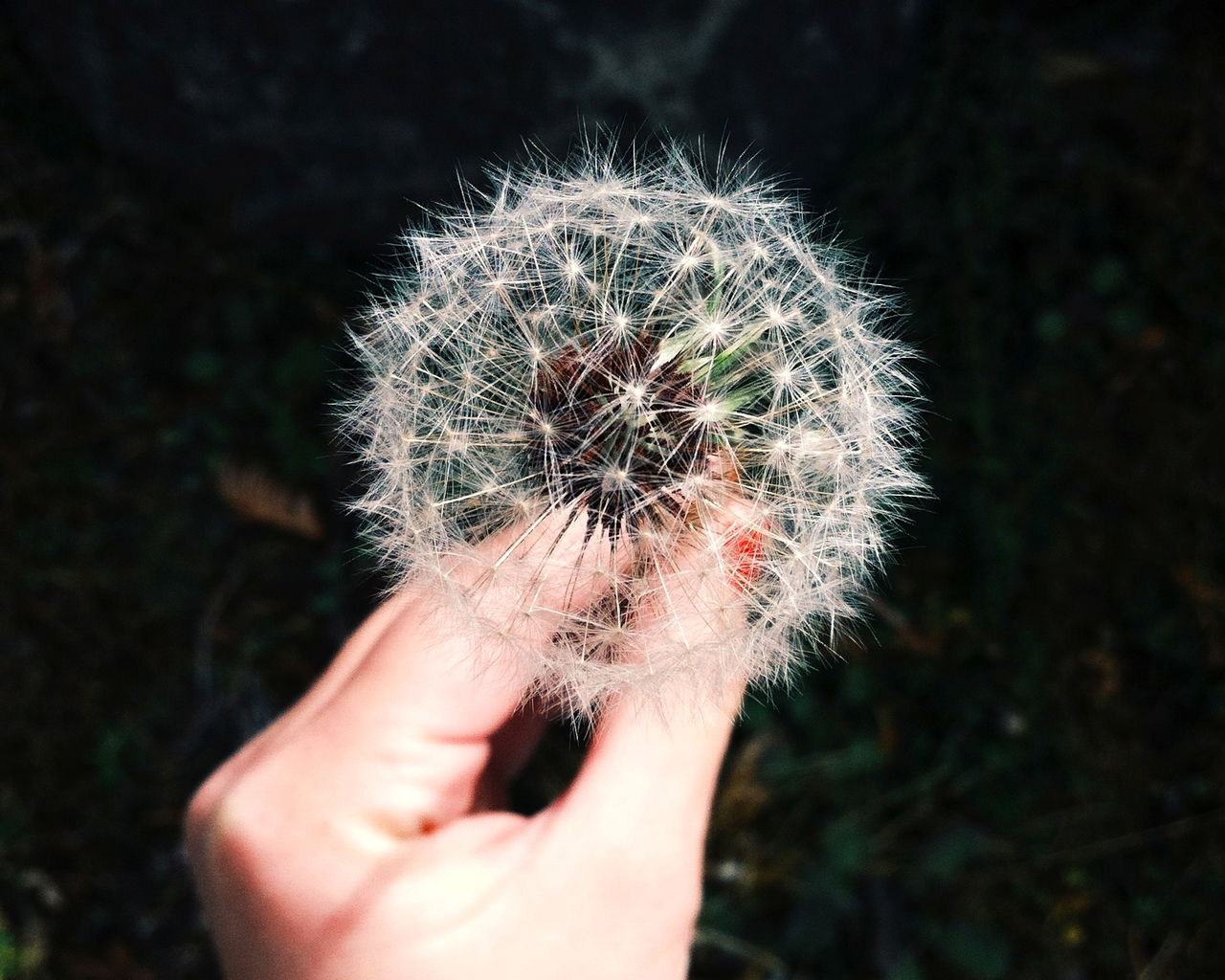Photography Tips From Wai Su